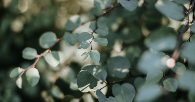 Professional Make-Up